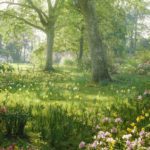 bright hazy sunlight through azalea and daffodil garden