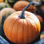Fall Pumkin