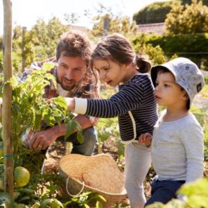 Family gardening