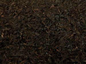 SPVS Planter's Blend