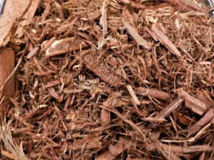 SPVS Shredded Cedar
