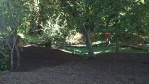 SPVS Compost Blanket