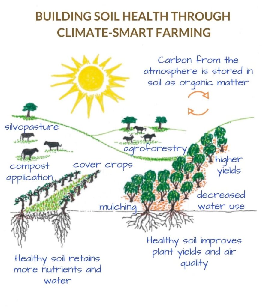 SPVS | Climate-Smart Farming Poster