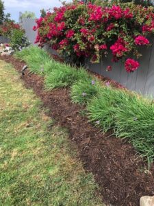 SPVS Monkey Hair Landscape Mulch application