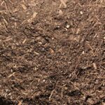 SPVS Nitro-Blend Compost | SPV Soils