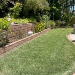 Dr Kilb’s lawn 2 months after SPVS Valley’s Best Compost® application.