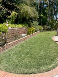 Dr Kilb's lawn 2 months after SPVS Valley’s Best Compost® application.