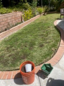 Dr Kilb's lawn with SPVS Valley’s Best Compost® applied.