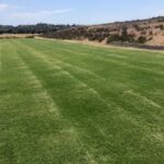 Nitro-Blend-Pre-plant-Turf-Soil-Amendment-VC-Church-6-16-21
