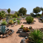 Water Smart Landscape | SPV Soils