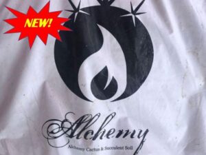 SPVS Alchemy Cactus & Succulent Soil - 1.5 cu ft | SPVS