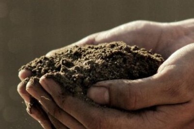 How Organic Compost Affects Soil