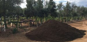 Bulk Compost | SPV Soils