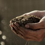 SPVS | What is in your Soil?
