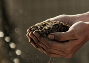 SPVS | What is in your Soil?