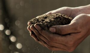 SPVS | What is in your Soil?