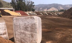 SPVS Baled Compressed Coco Coir and Expanded Material