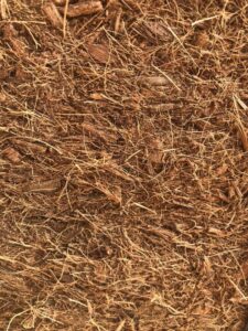SPVS Close-up-of-Compressed-Baled-Coco-Coir