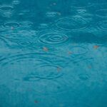 Rain Landscape Solutions | SPVS