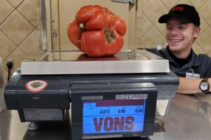 4.82 lb Tomato Grown w SPVS Valleys Best Compost | SPVS