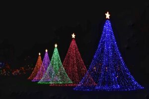 Christmas 2021 | SPVS