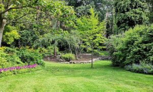 Compost for Lawns | SPVS