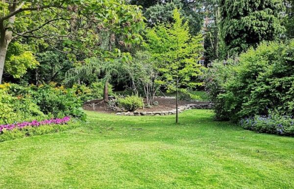 Top-dress Your Lawn With Compost