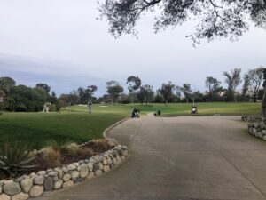 RSF Golf Club Renovation 3 | SPVS