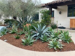 RSF Golf Club Renovation 5 | SPVS