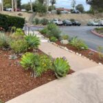 Rancho-Santa-Fe-GC-Renovation-parking-lot-beds-SPV-Soils-Mini-Fir-Bark