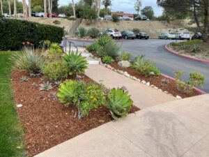 RSF Golf Club Renovation 9 | SPVS