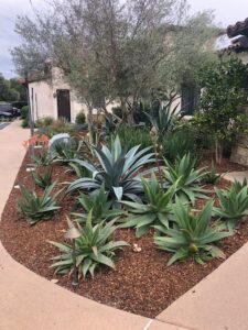 RSF Golf Club Renovation 10 | SPVS