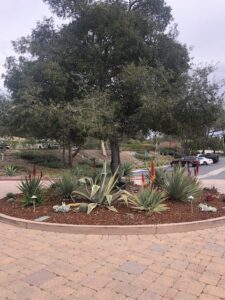 RSF Golf Club Renovation 6 | SPVS