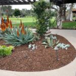 Rancho-Santa-Fe-GC-SPVS-Mini-Fir-Bark-Garden-Bed