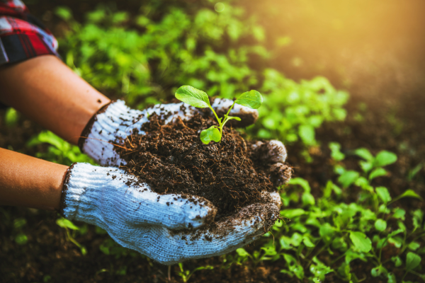 Become a Practitioner of Healthy Soils