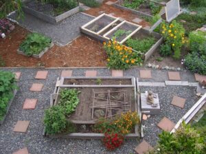 Urban Gardening | SPV Soils