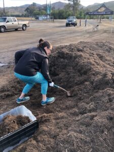 Loading Monkey Hair Mulch 5.2022 | SPV Soils