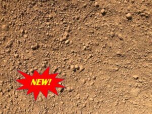 New Stabilized Gold DG | SPVS