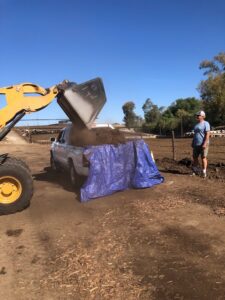 Paid PIck-up Truck Loading Monkey Hair Mulch-2 5.2022 | SPV Soils