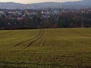 Peri-urban Farm | SPV Soils