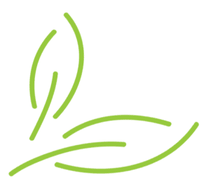 SPVS Grow With Us Leaves