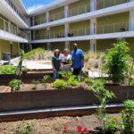 PATH Community Garden in San Diego | SPV Soils