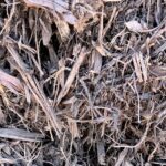 Grower’s Mulch | San Pasqual Valley Soils
