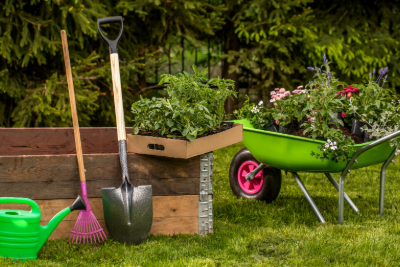 Dr. K’s Compost and Mulch Tips