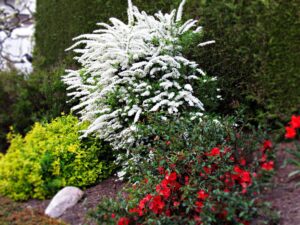 Dr. K's Compost and Mulch Tips | SPVS