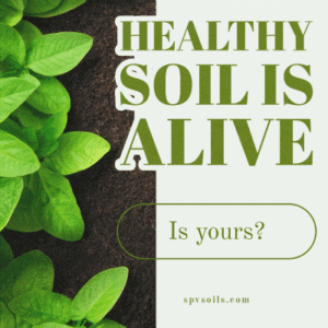 Healthy Soil is Alive | SPV Soils