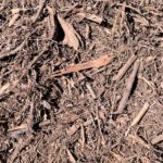 California Native Mulch | San Pasqual Valley Soils