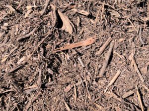 California Native Mulch | San Pasqual Valley Soils