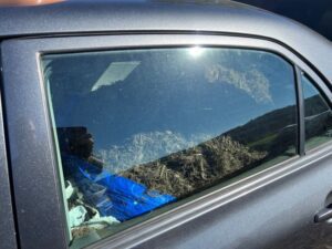 Close up of the free mulch! | SPVS