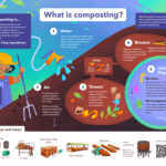 ILSR Poster – What is Composting | SPVSoils